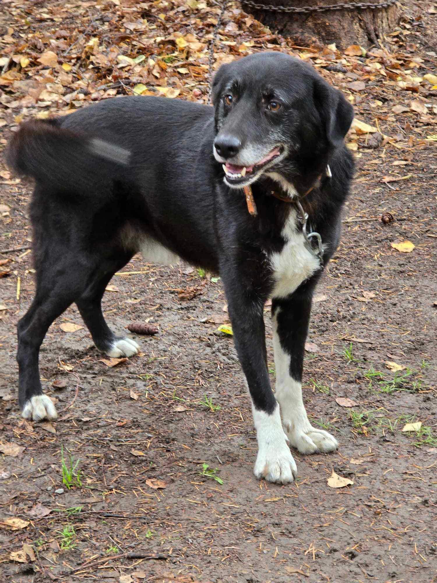 Sammy, Bild 4