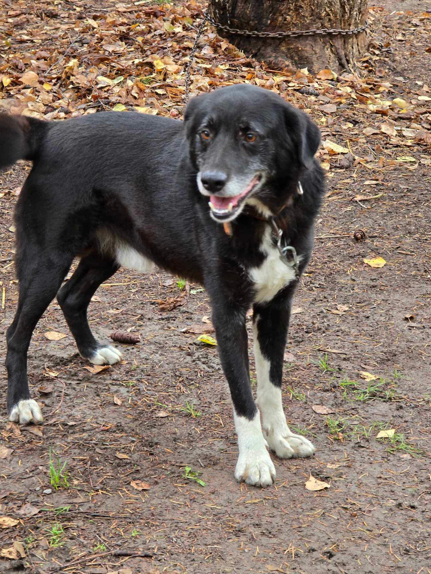 Sammy, Bild 5