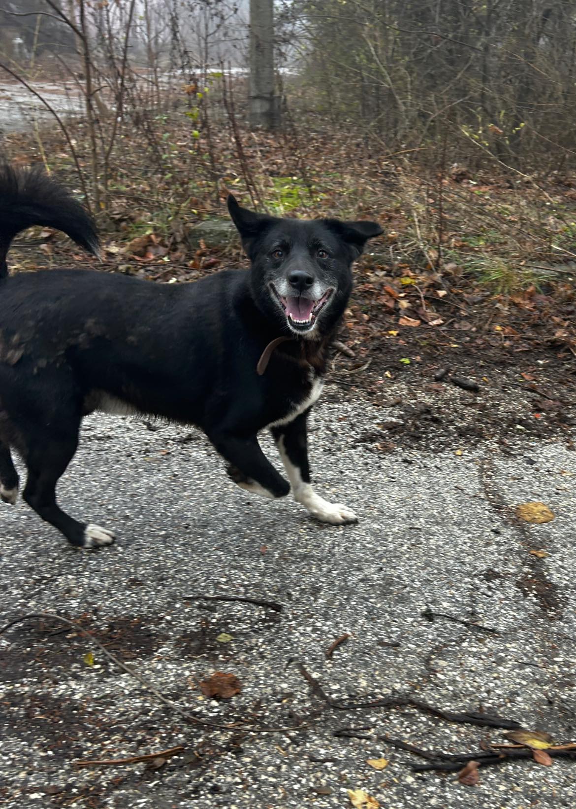 Sammy, Bild 6