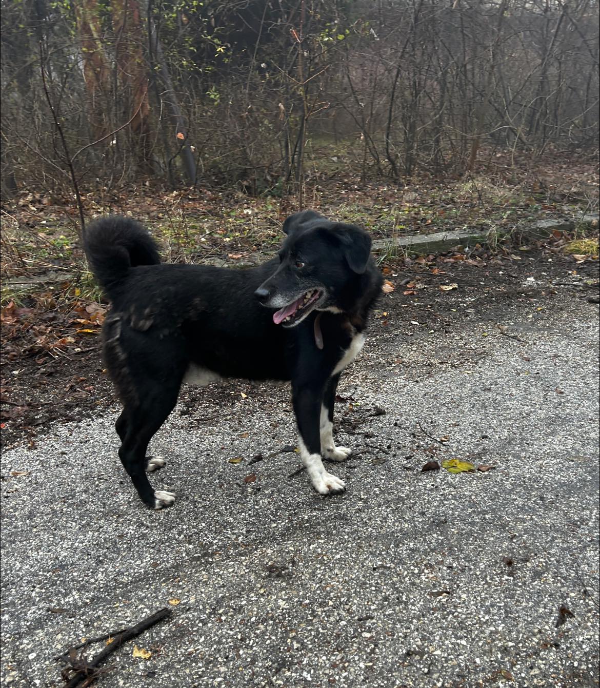Sammy, Bild 8