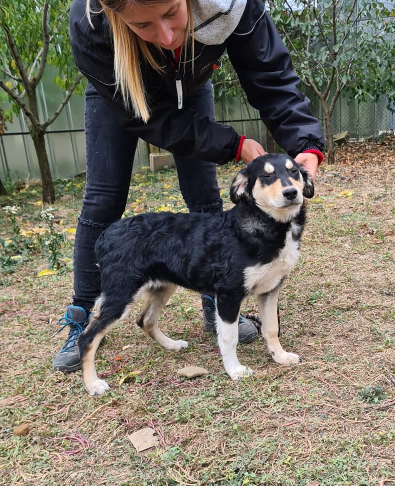 Shanti, Bild 3