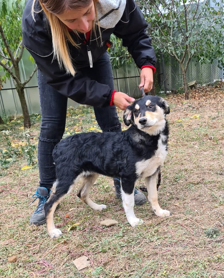 Shanti, Bild 5