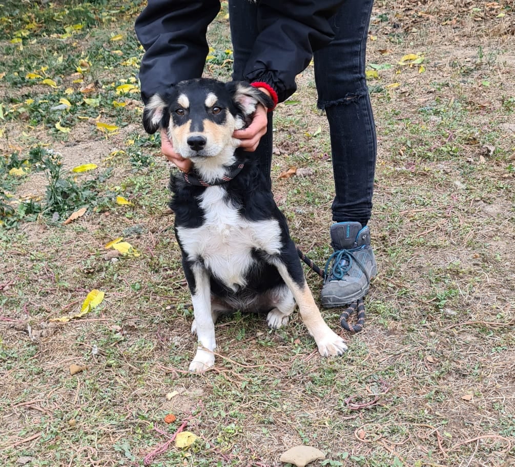 Shanti, Bild 6
