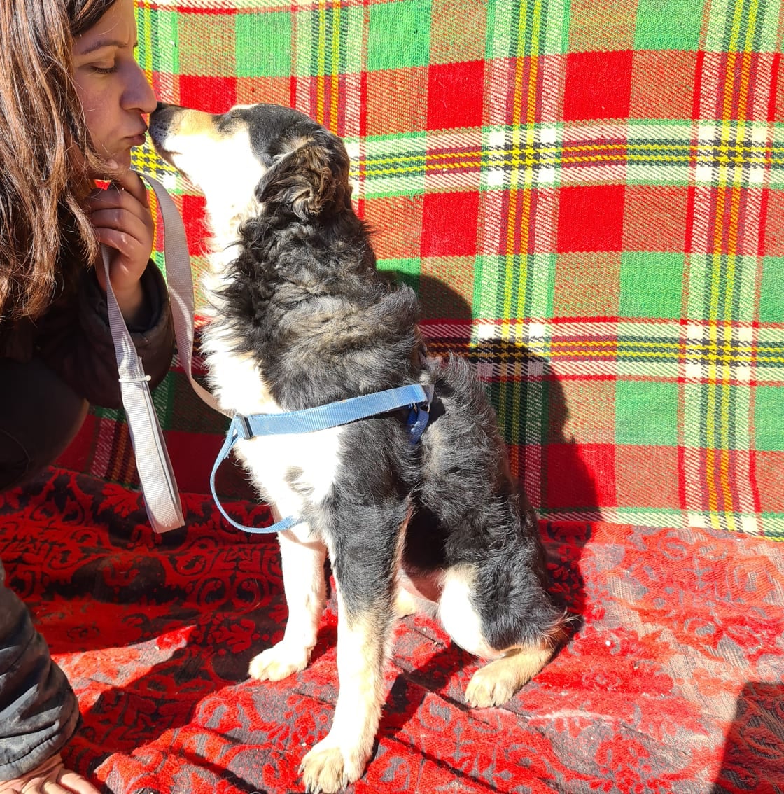 Shanti, Bild 8