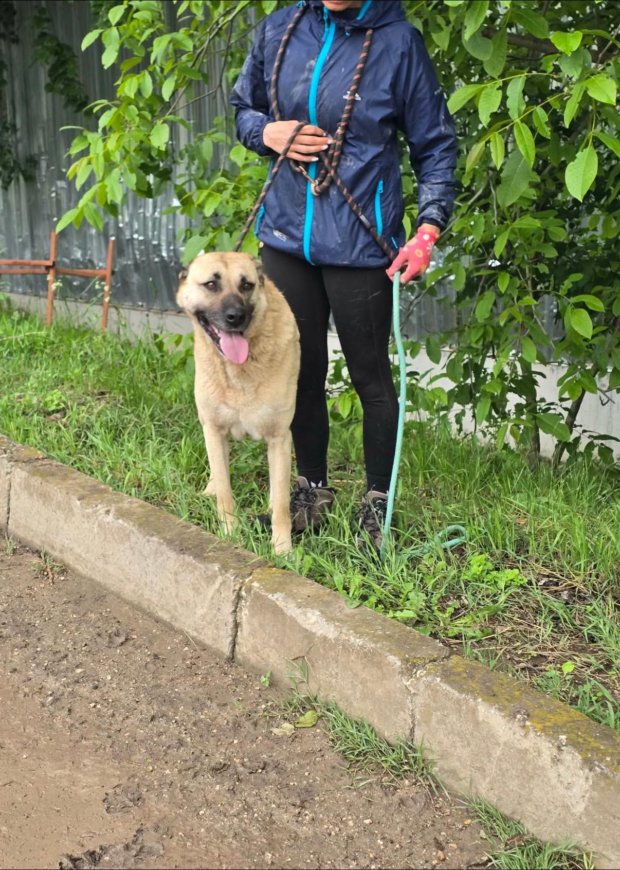 Shaya, Bild 5