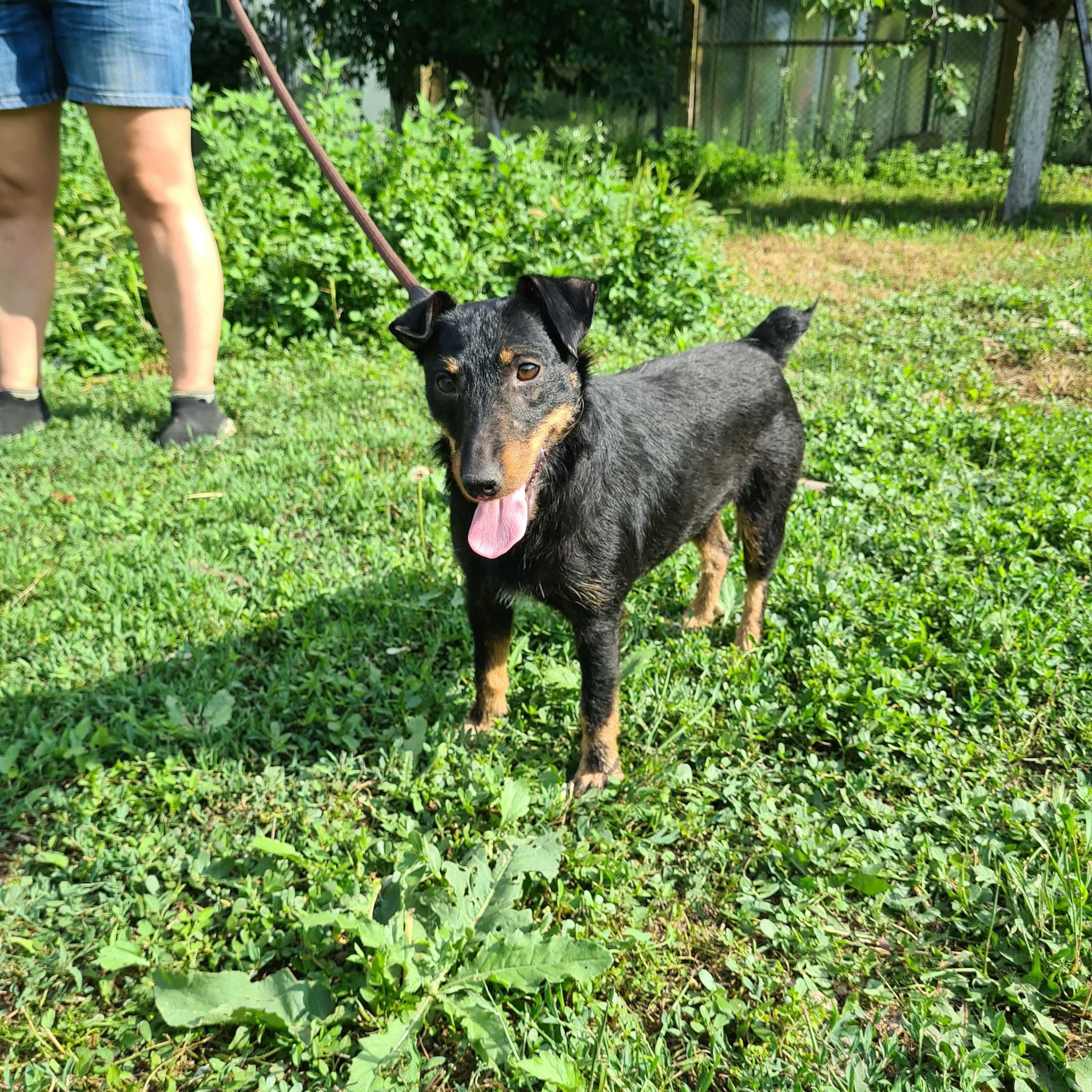 Sherry, Bild 6