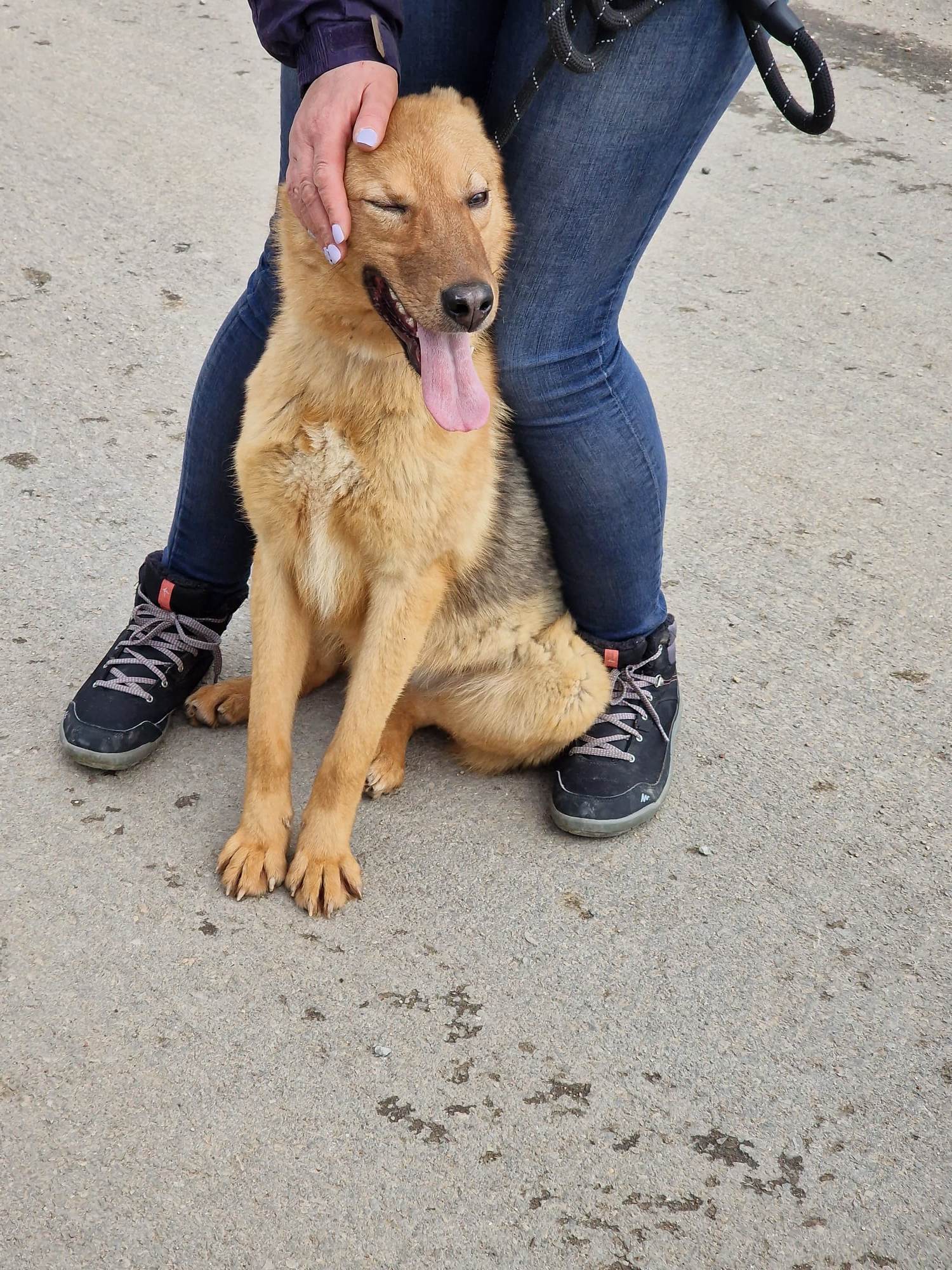 Silvi, Bild 20