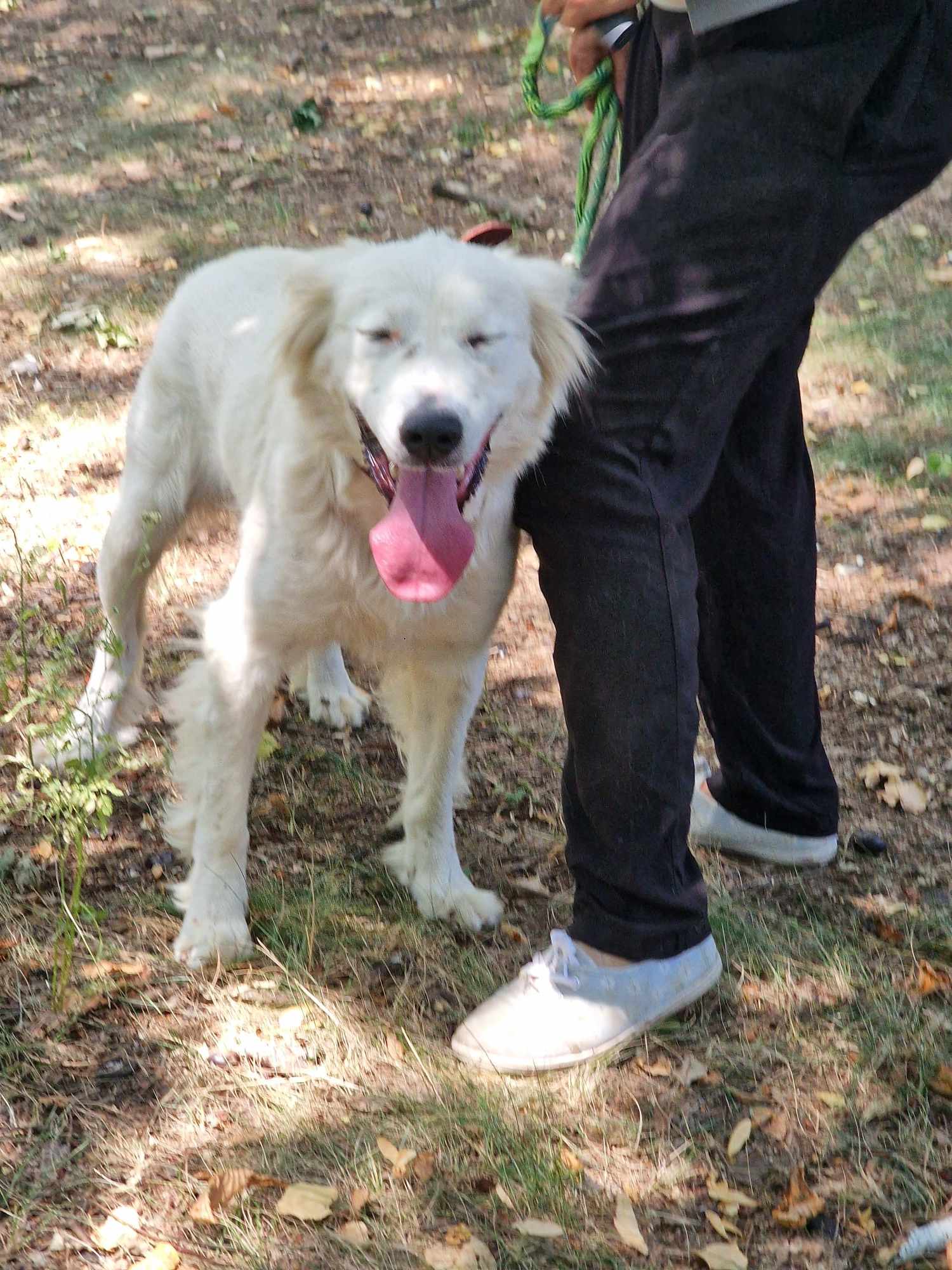 Snejanka, Bild 3