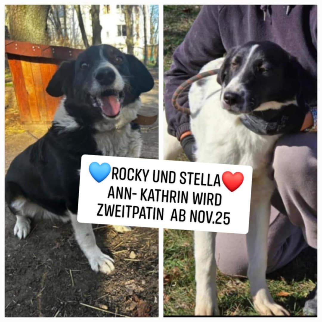 Stella, Bild 7