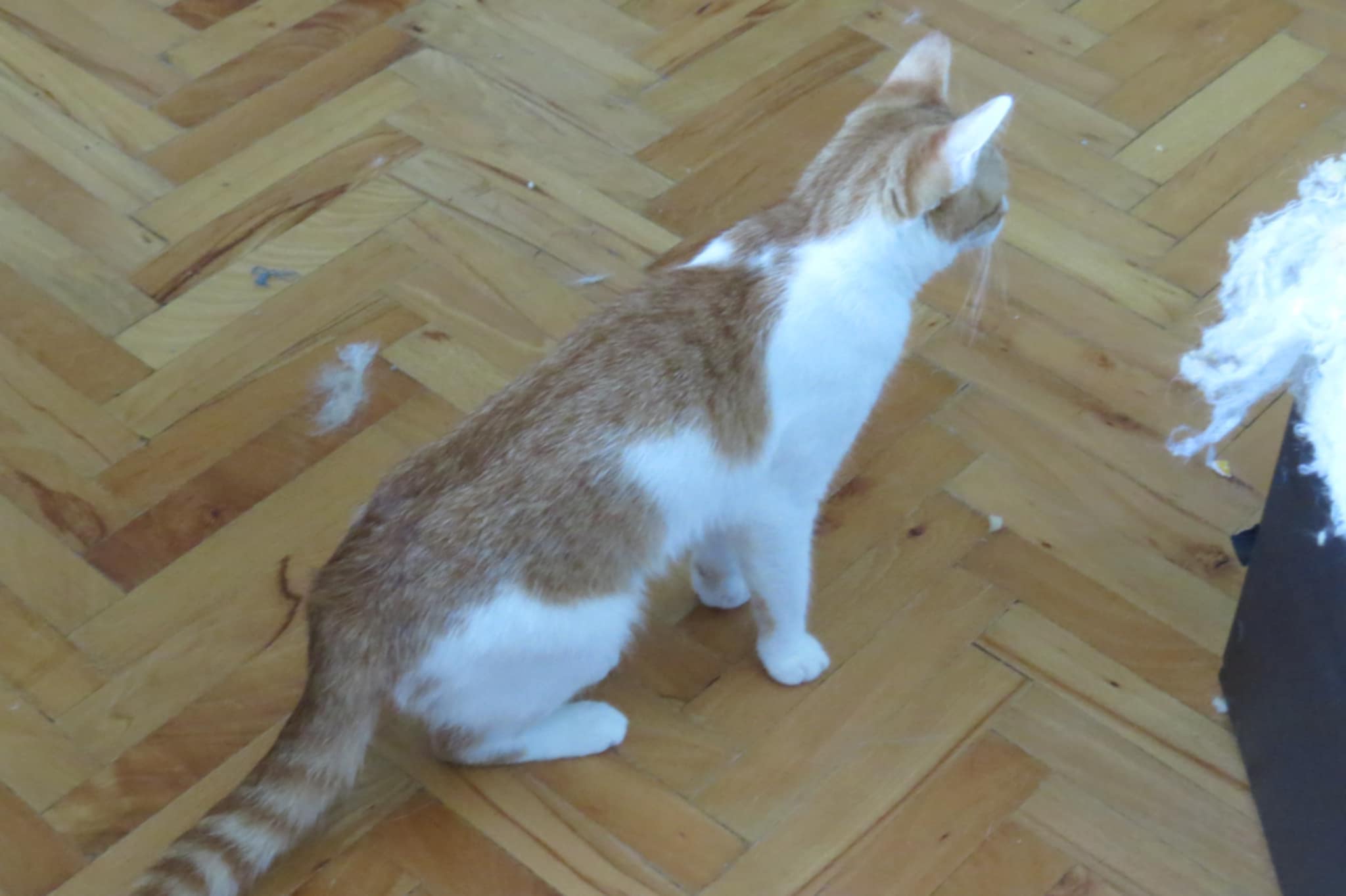 Sunny, Bild 9