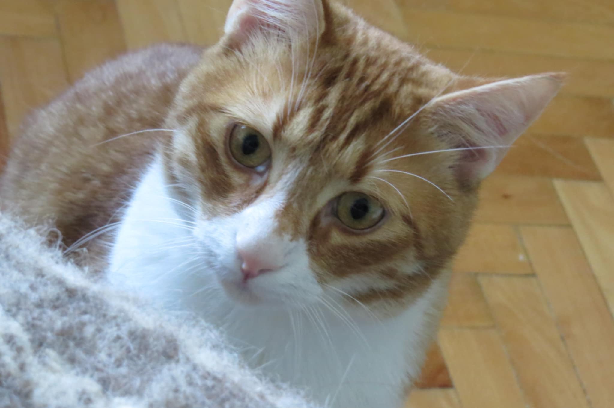 Tango, Bild 9