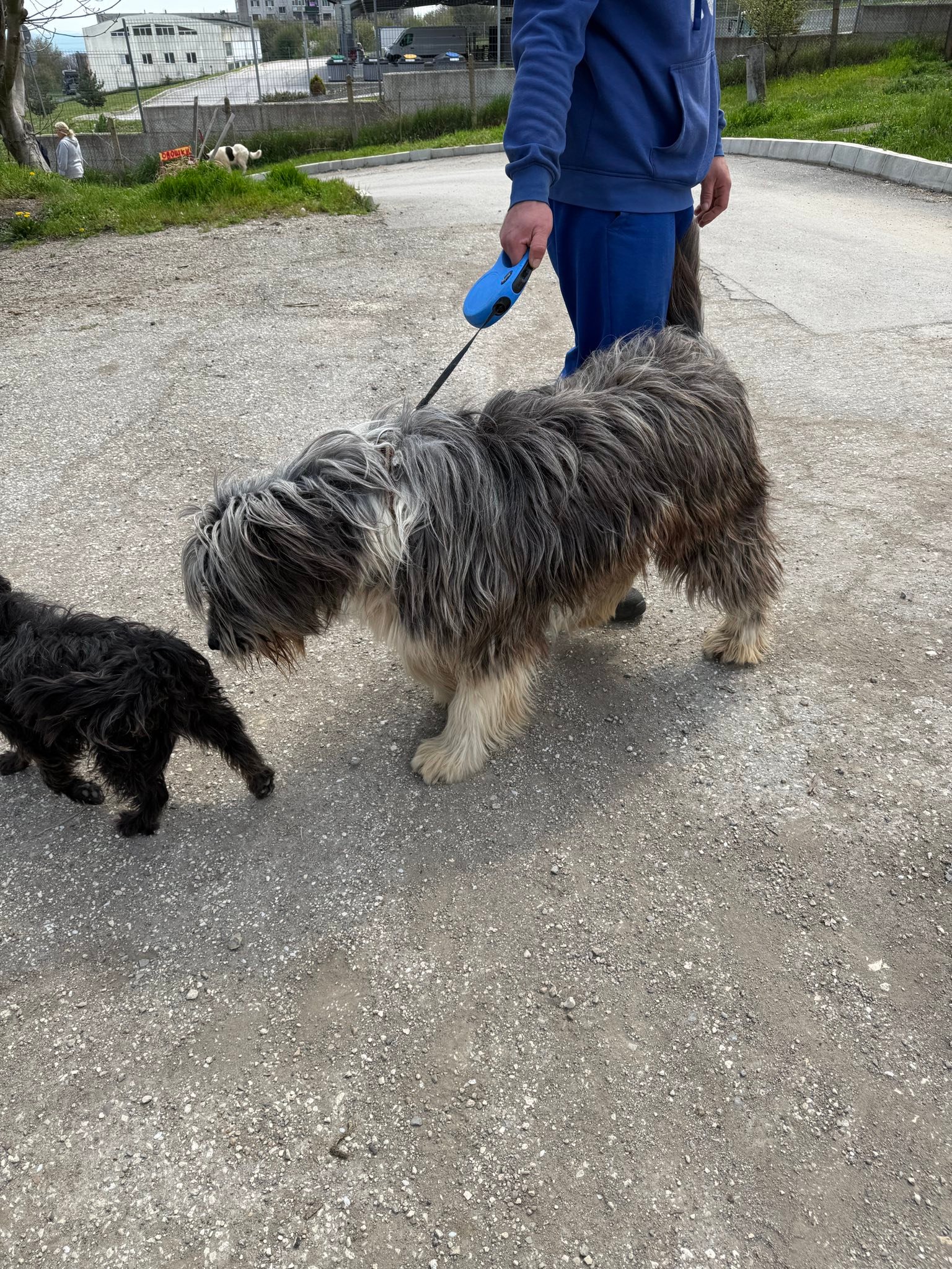 Thor, Bild 11