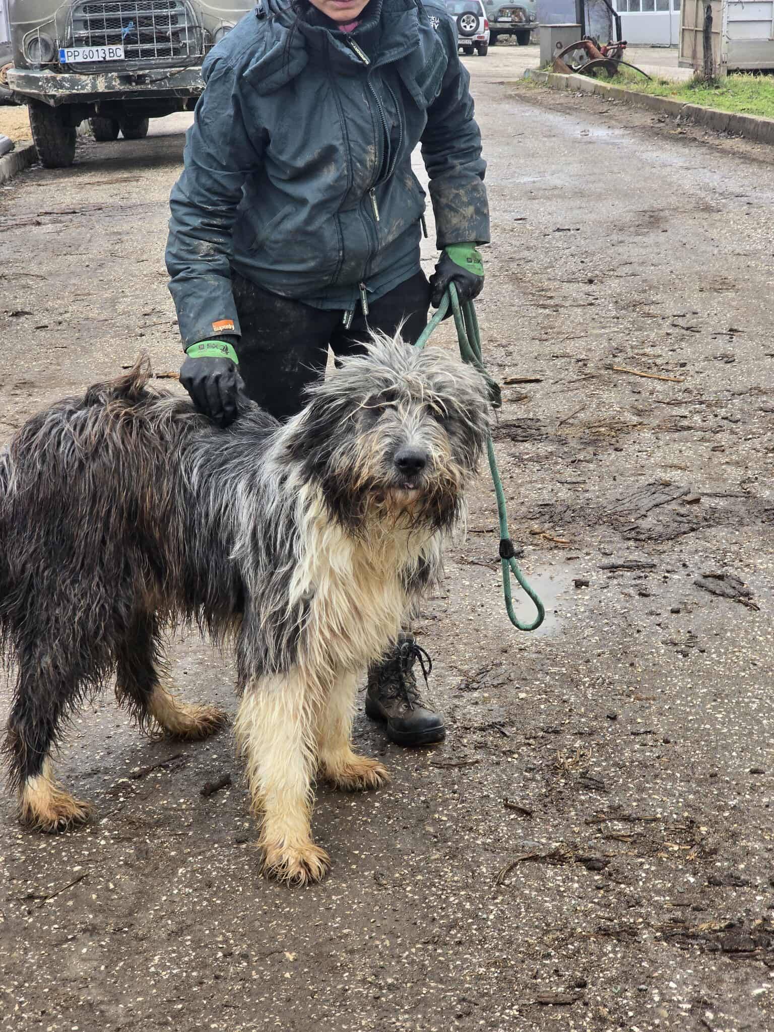 Thor, Bild 13