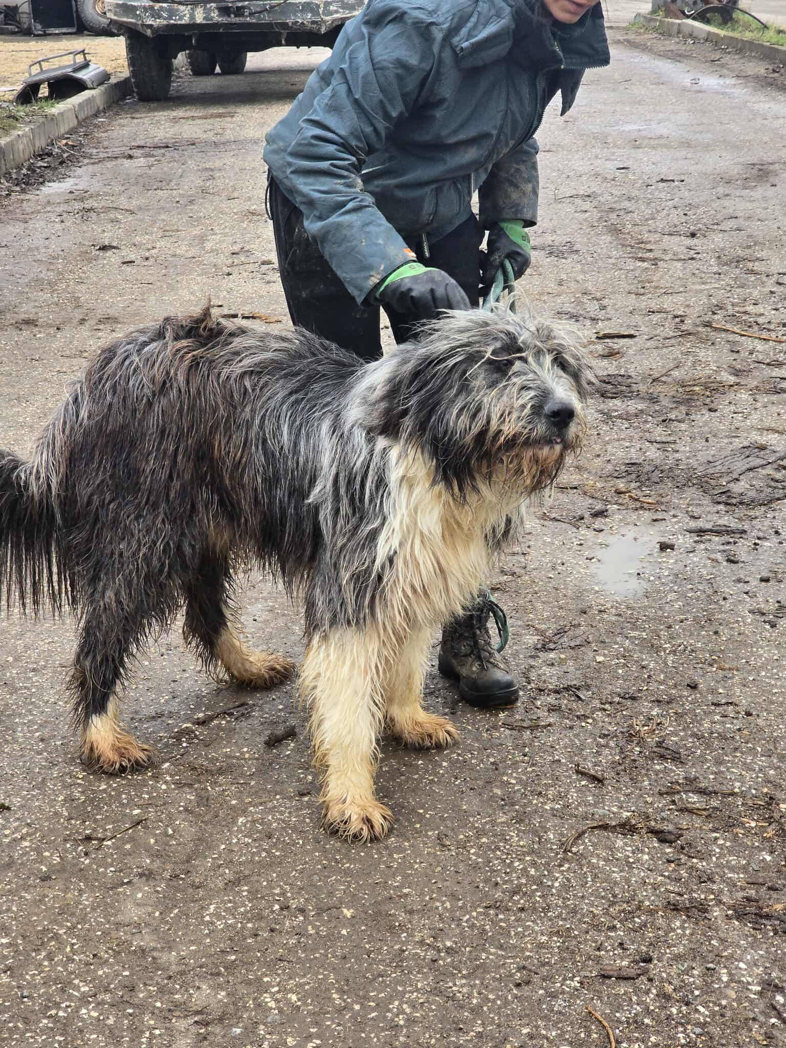 Thor, Bild 15