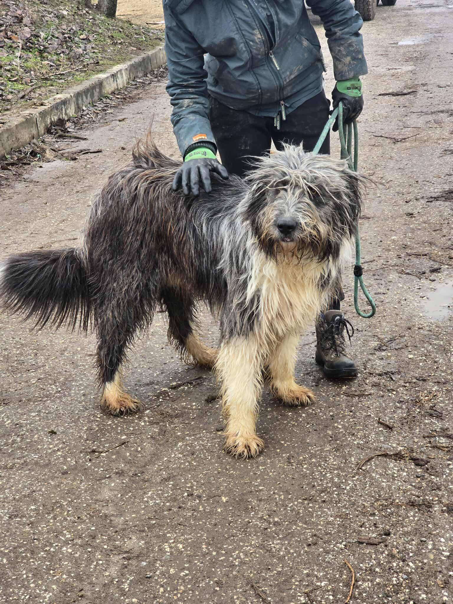 Thor, Bild 16