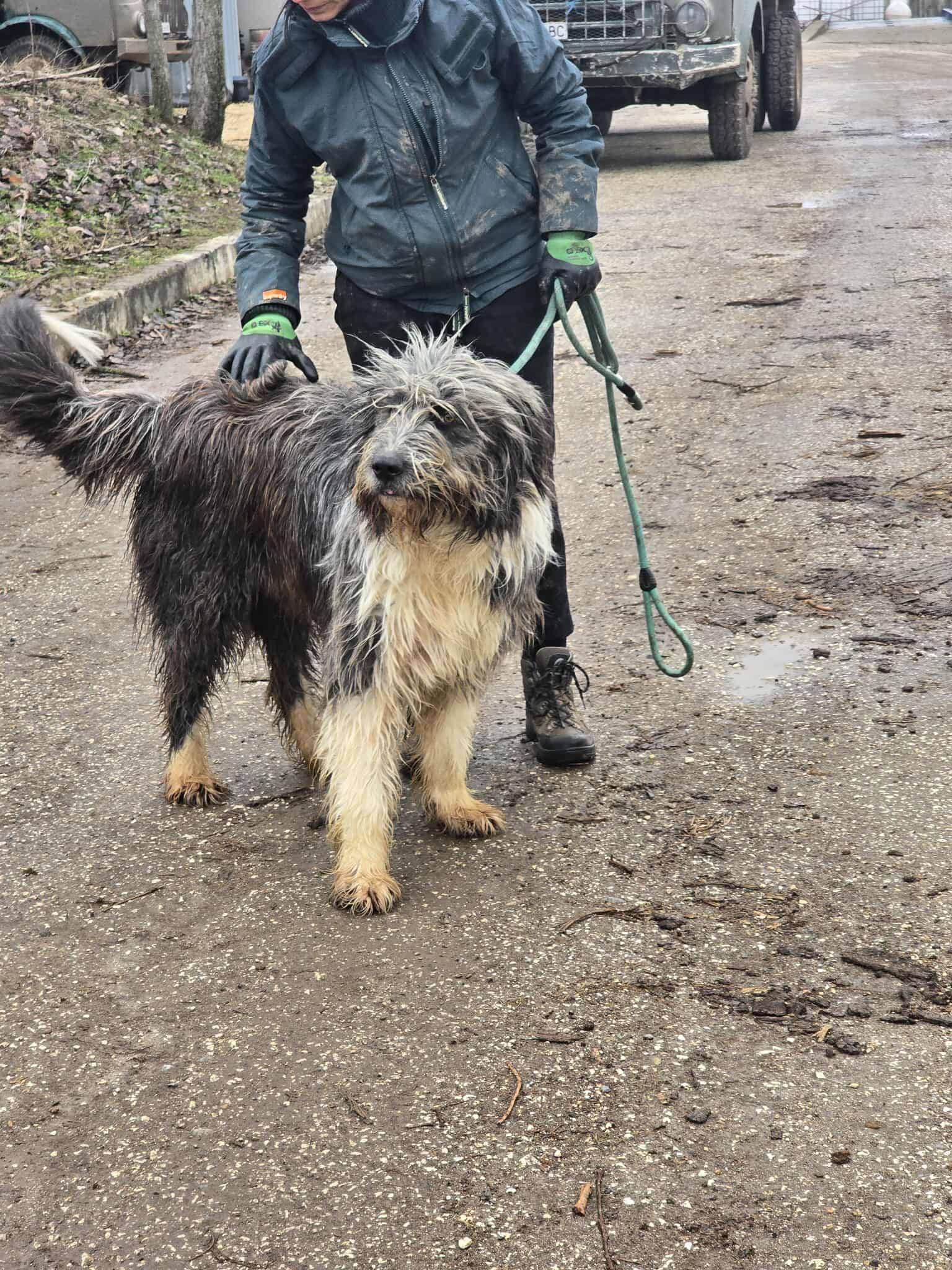 Thor, Bild 18
