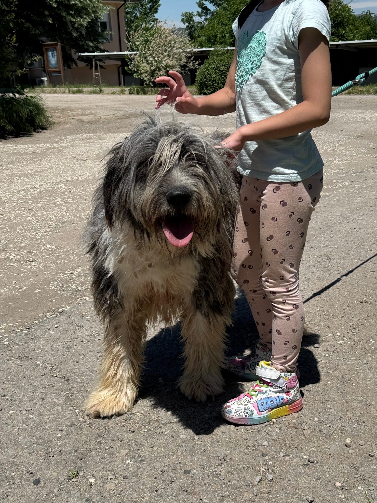 Thor, Bild 3