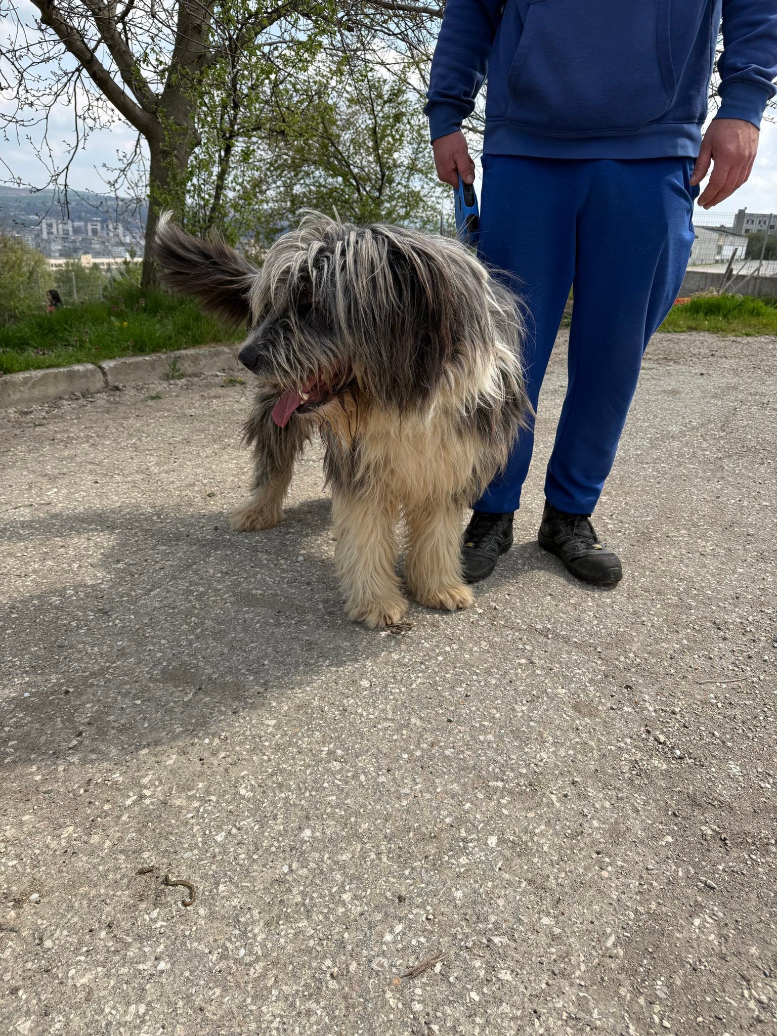 Thor, Bild 8