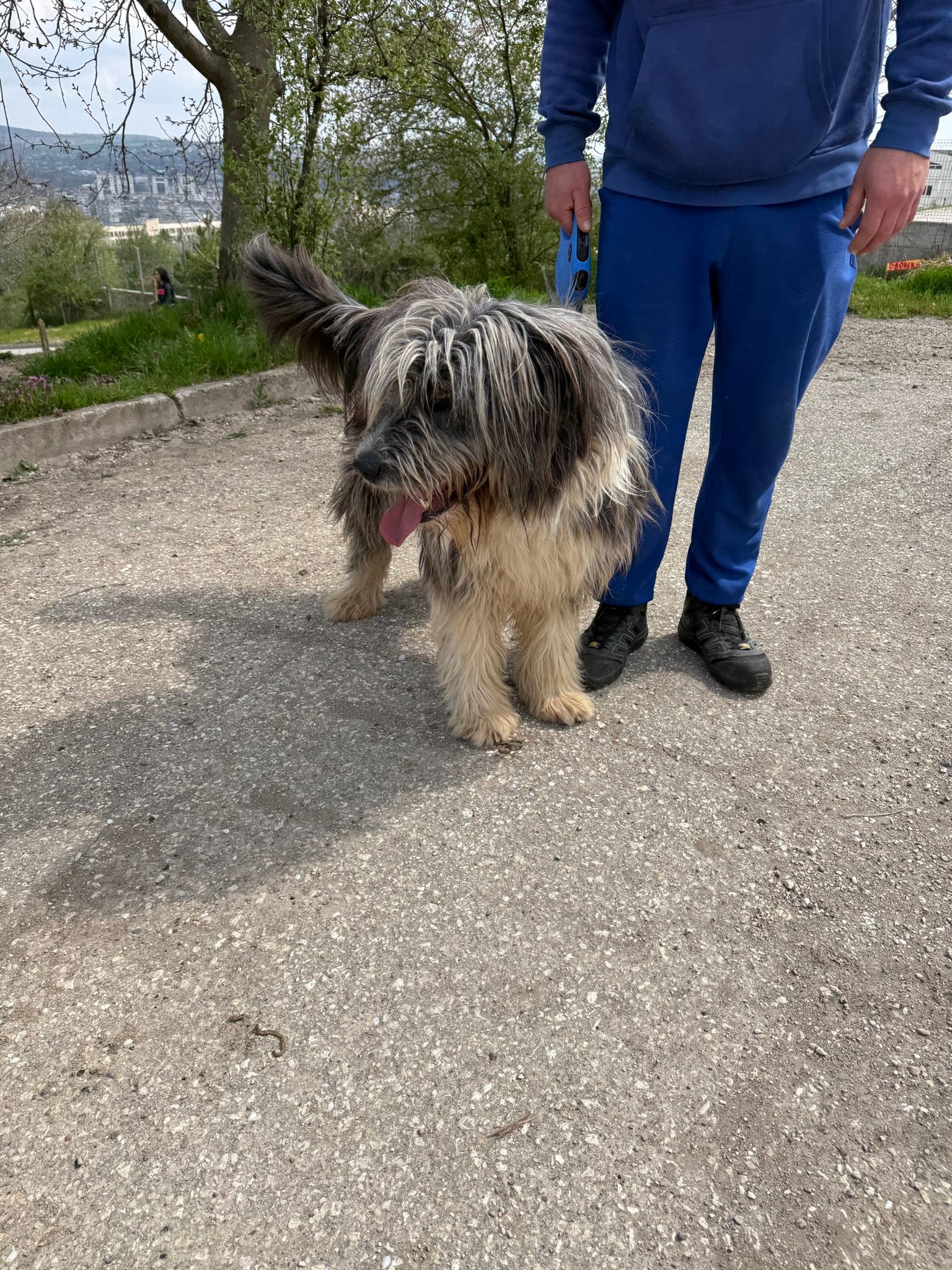 Thor, Bild 10