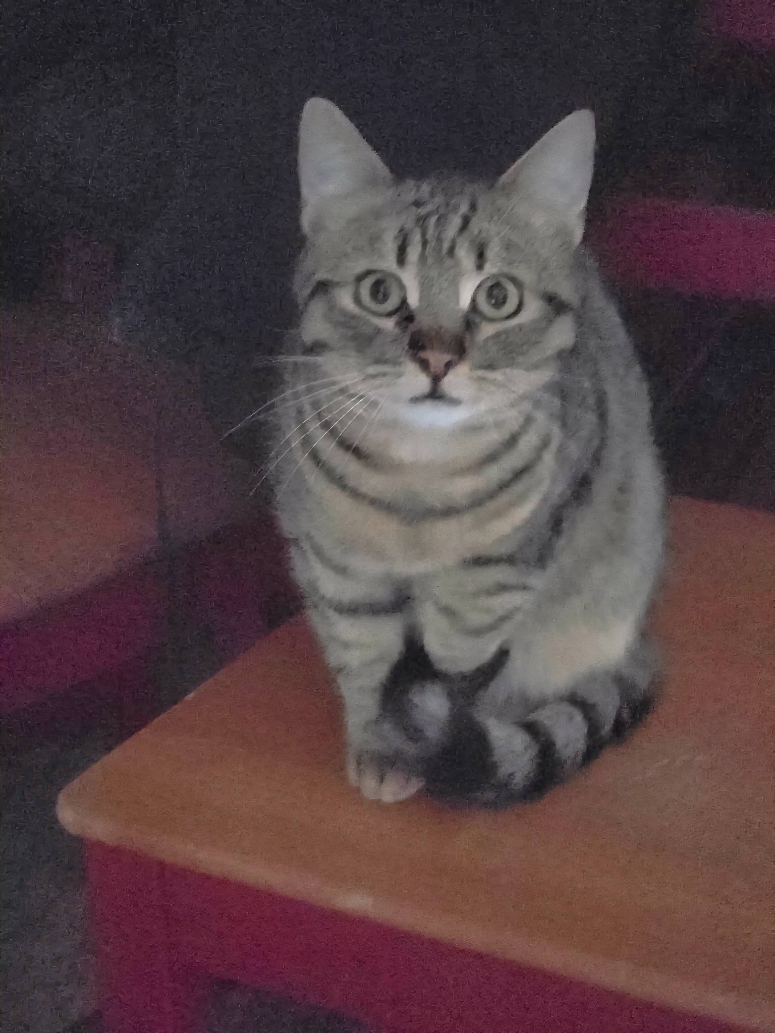 Tiko, Bild 10
