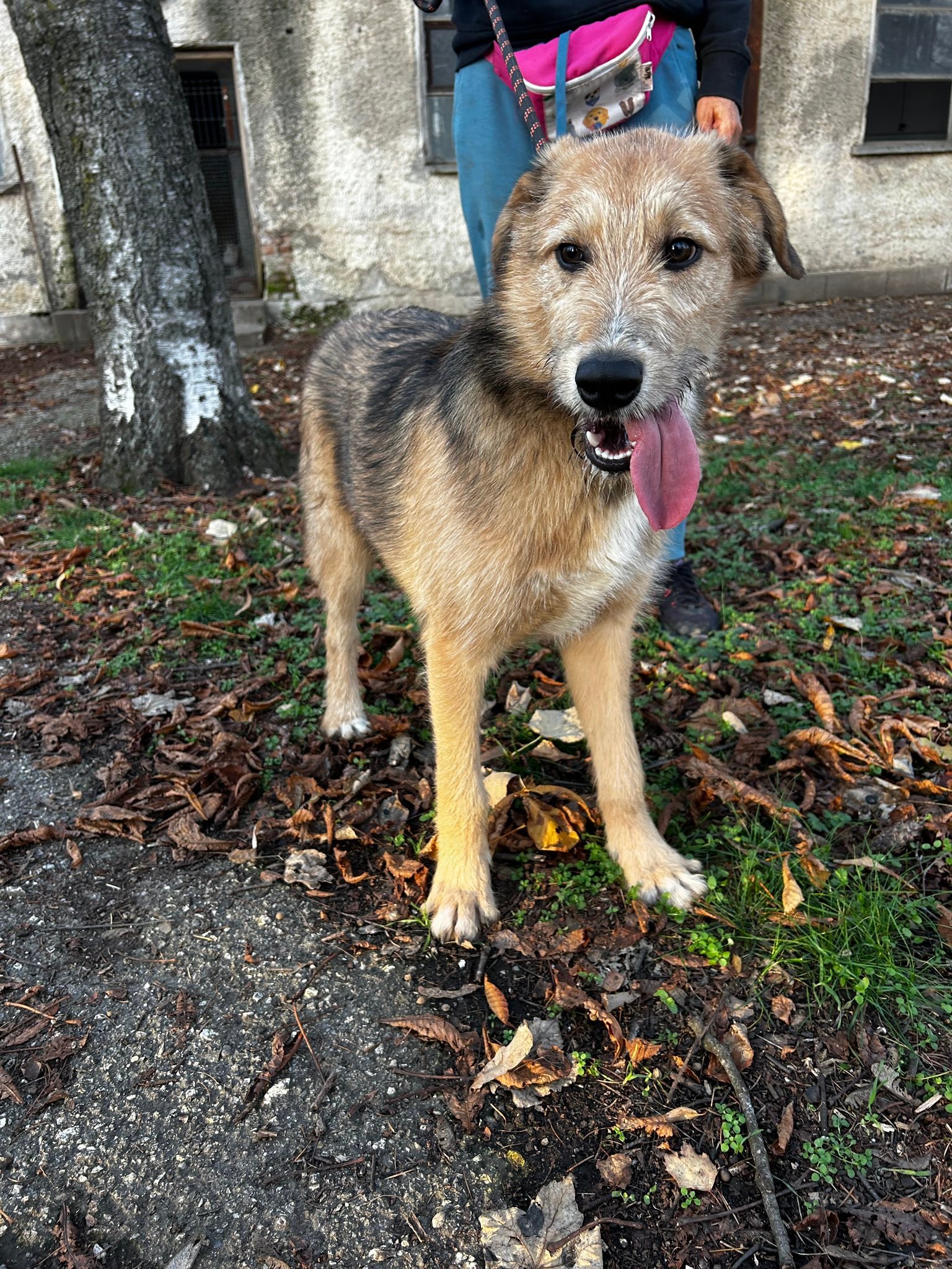Timmy, Bild 22