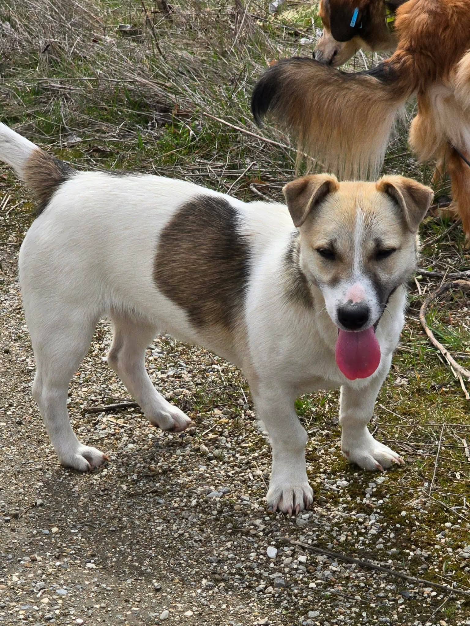 Toby, Bild 6