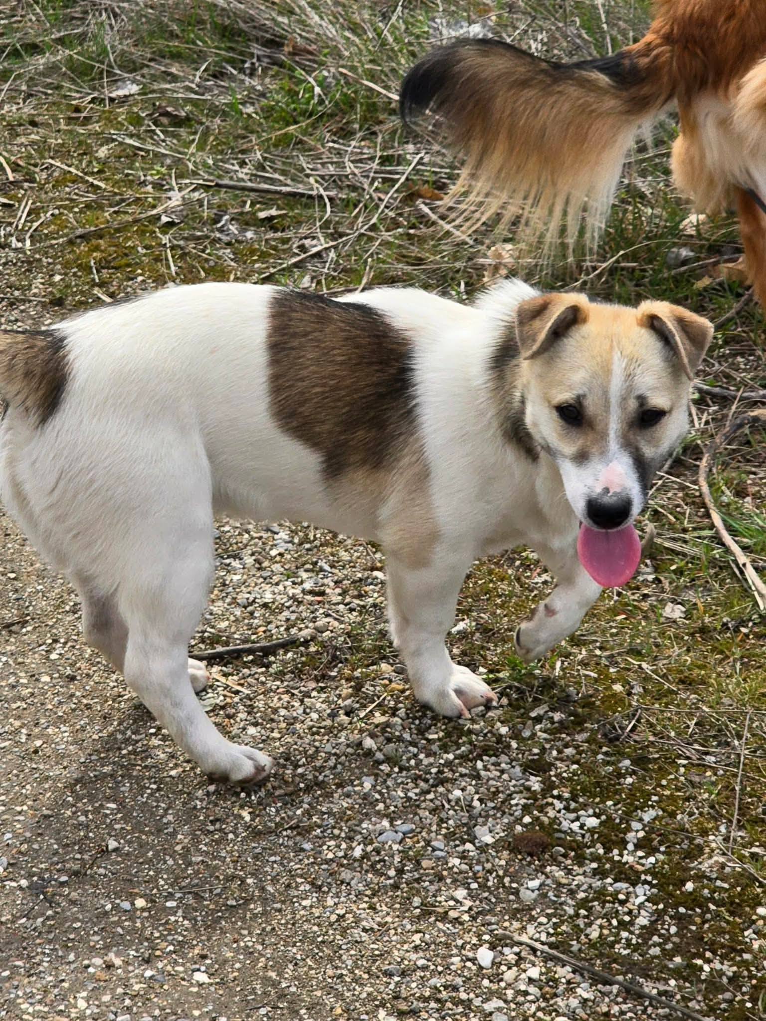 Toby, Bild 10