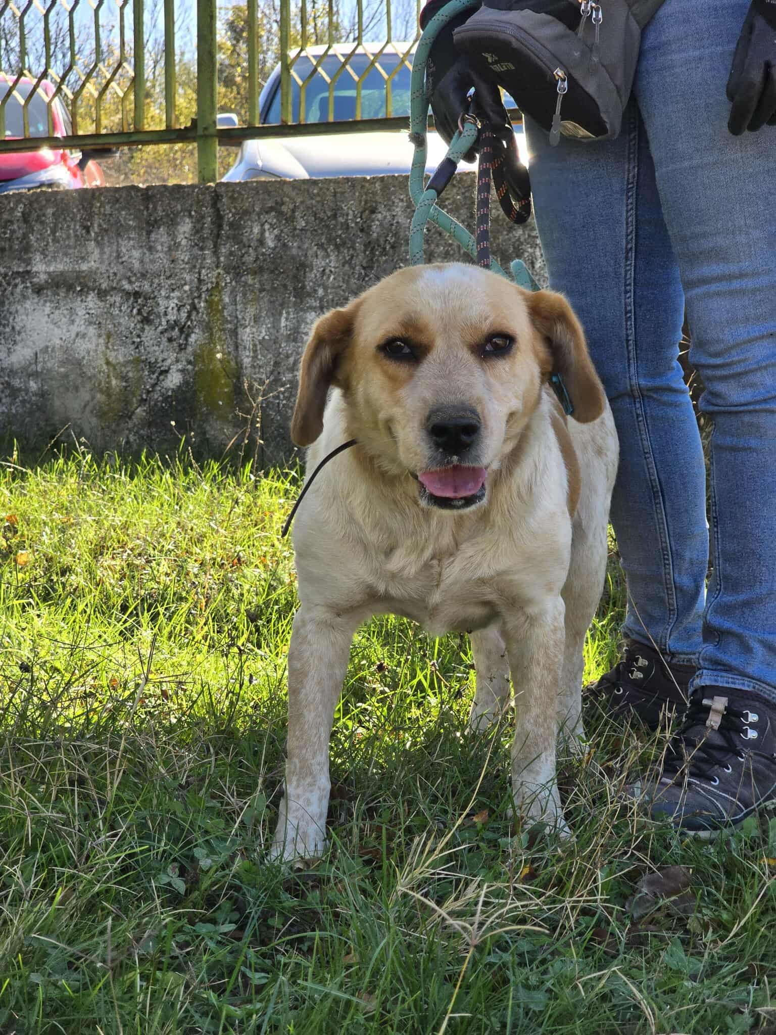 Tutti &lt;3, Bild 21