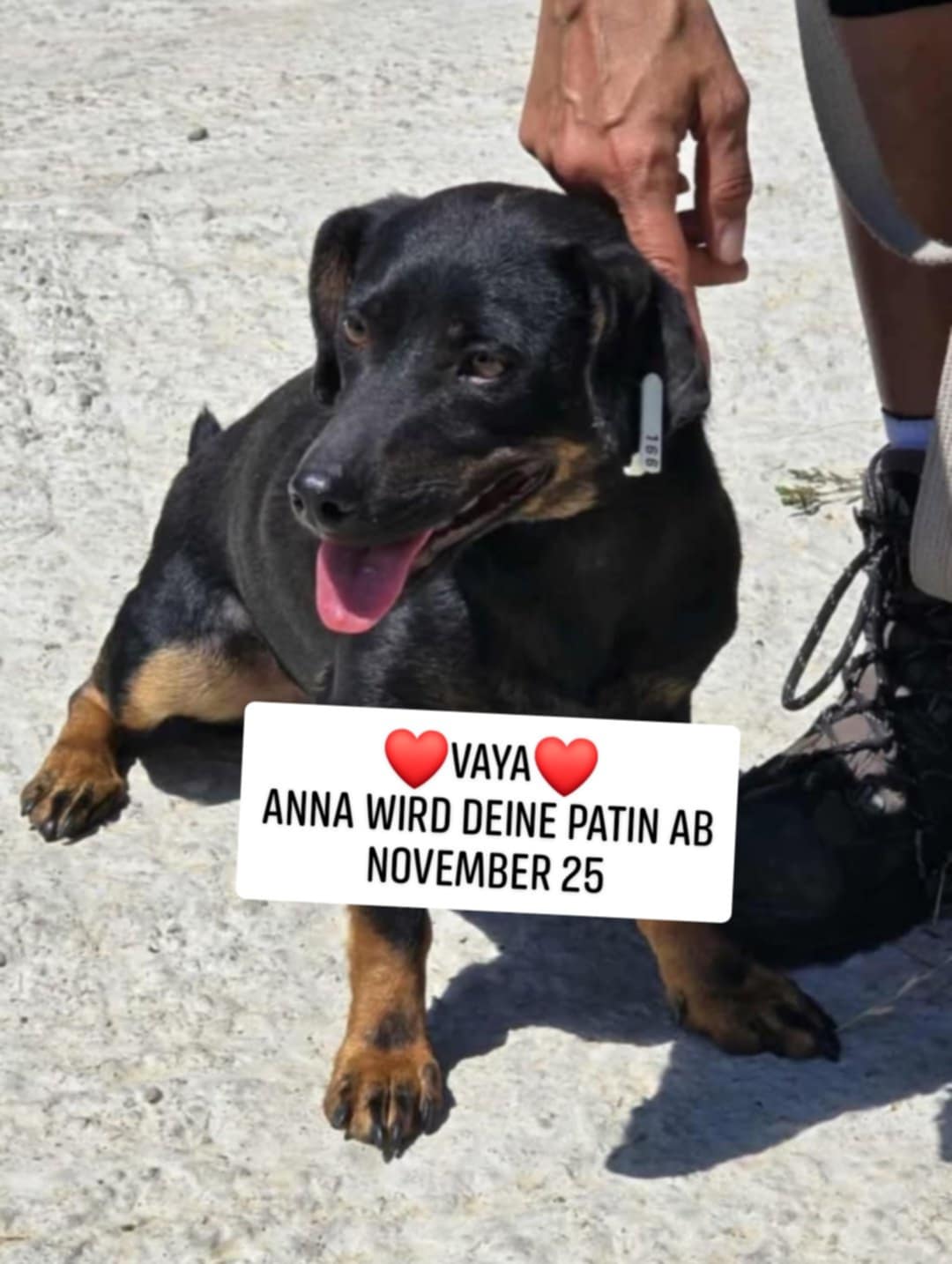 Vaya, Bild 15