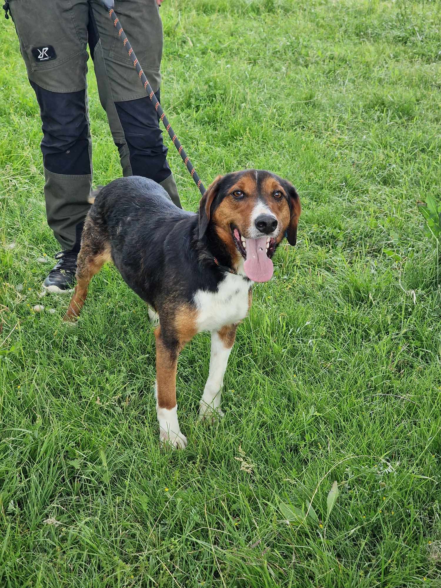 Vincent, Bild 2