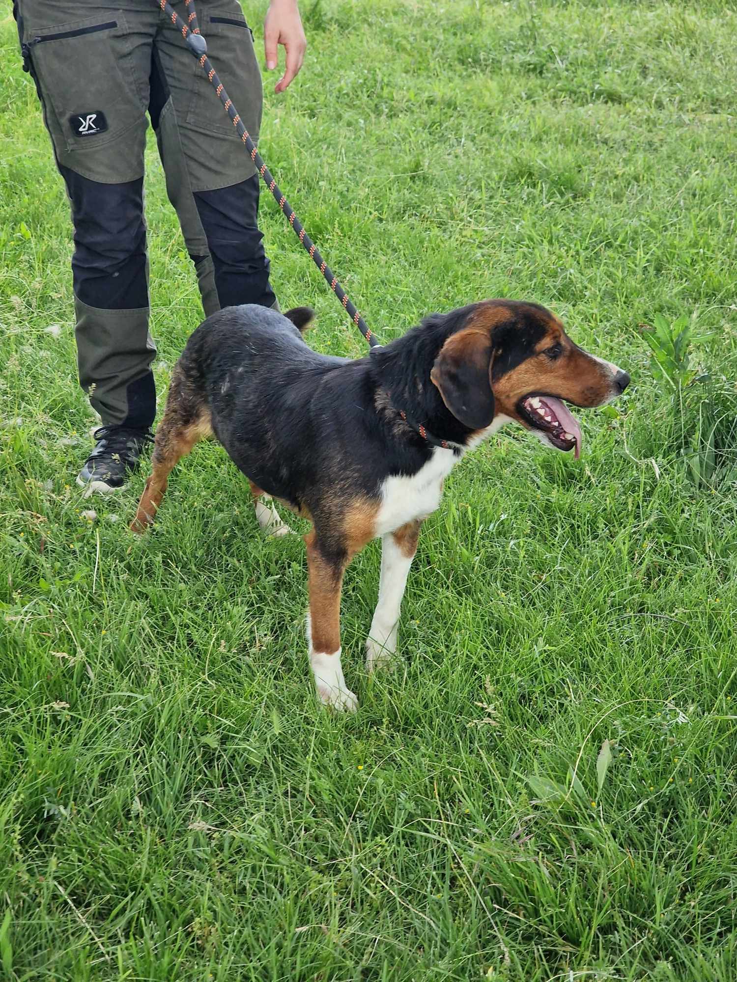 Vincent, Bild 3
