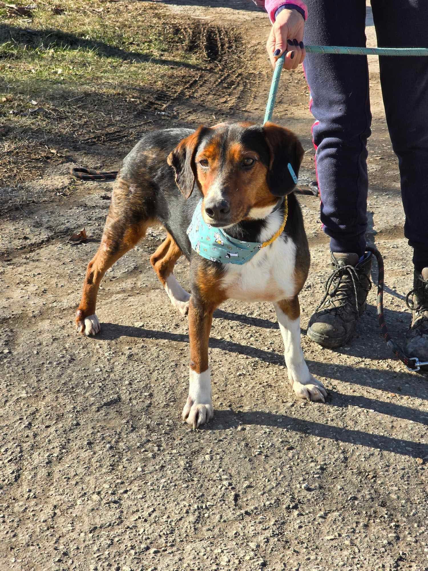Vincent, Bild 23