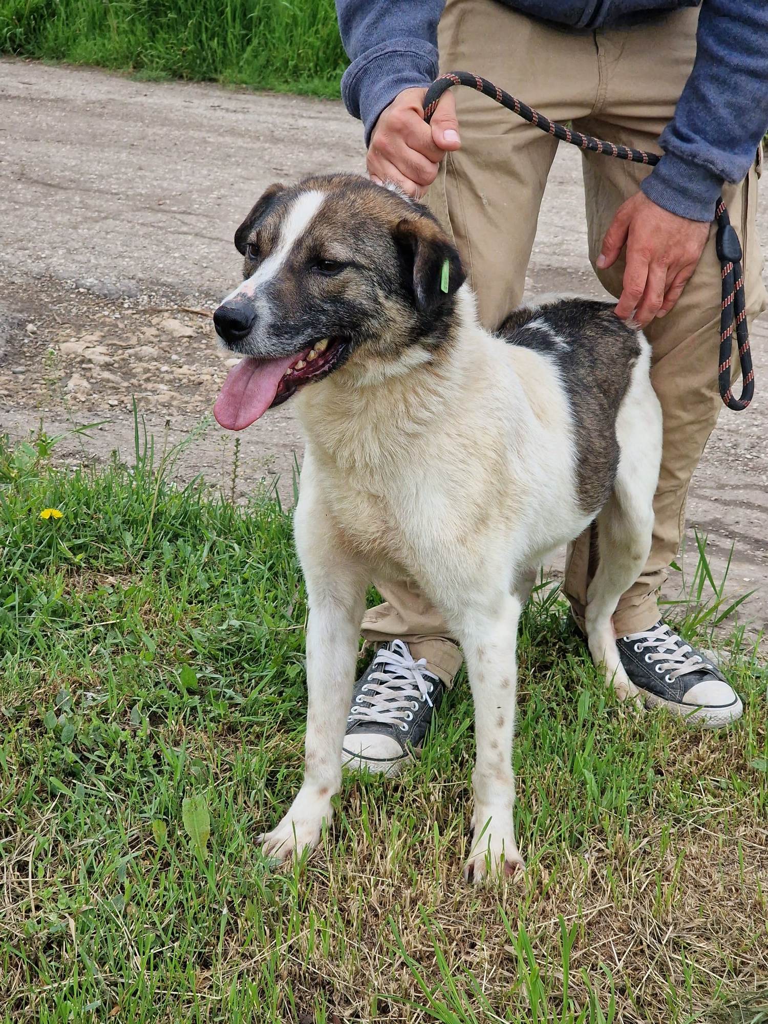 Zeus, Bild 12