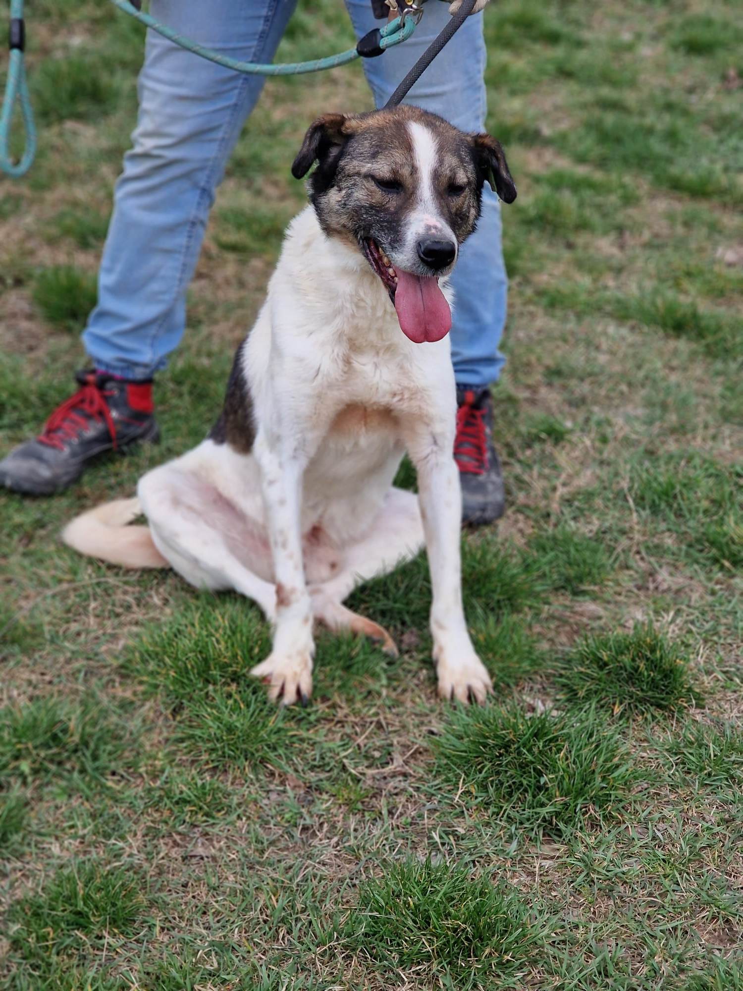 Zeus, Bild 3