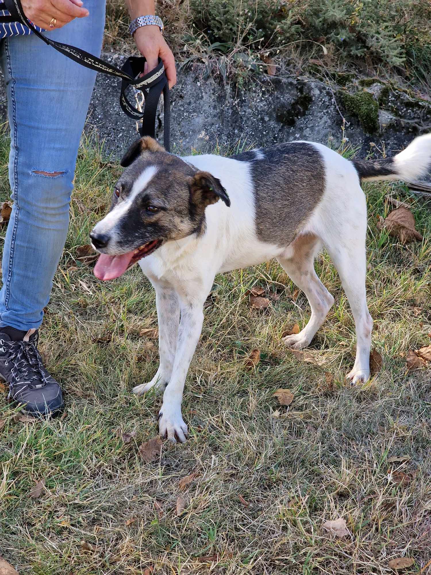 Zeus, Bild 25