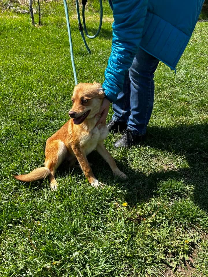Zira, Bild 12