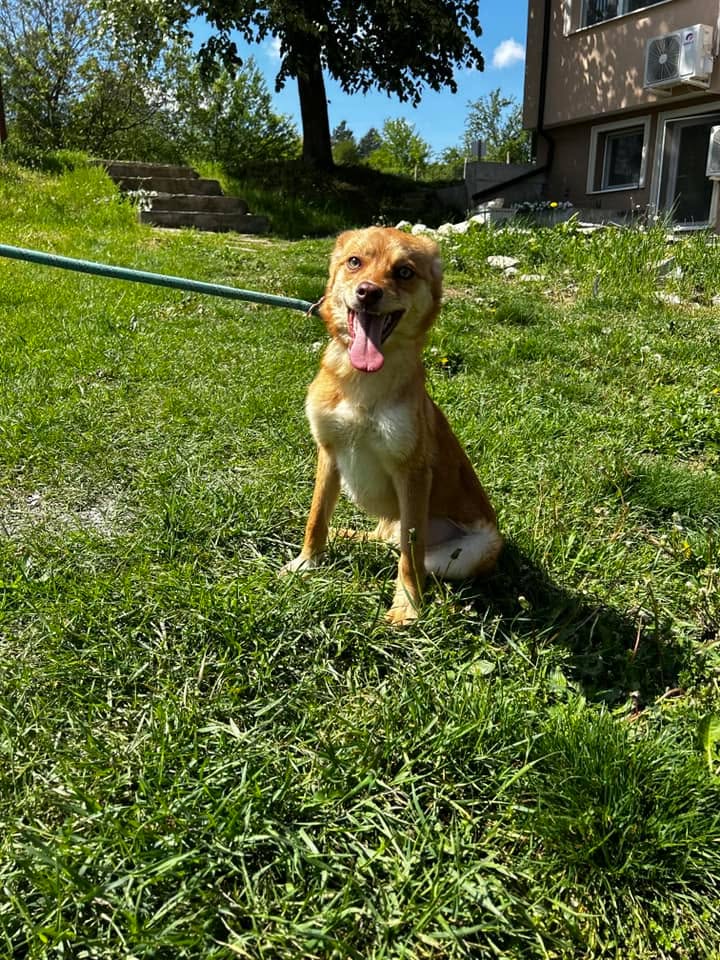Zira, Bild 14