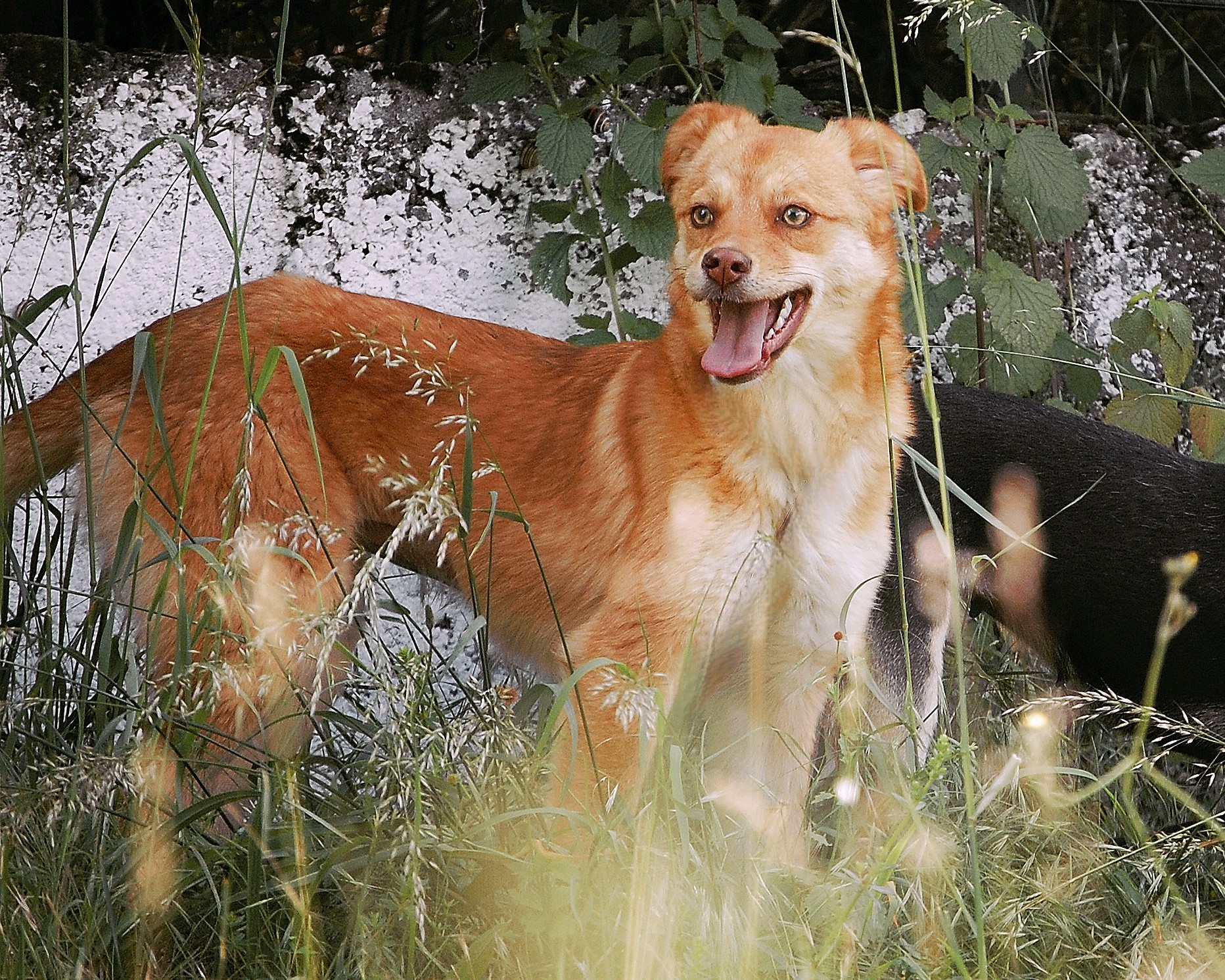 Zira, Bild 22