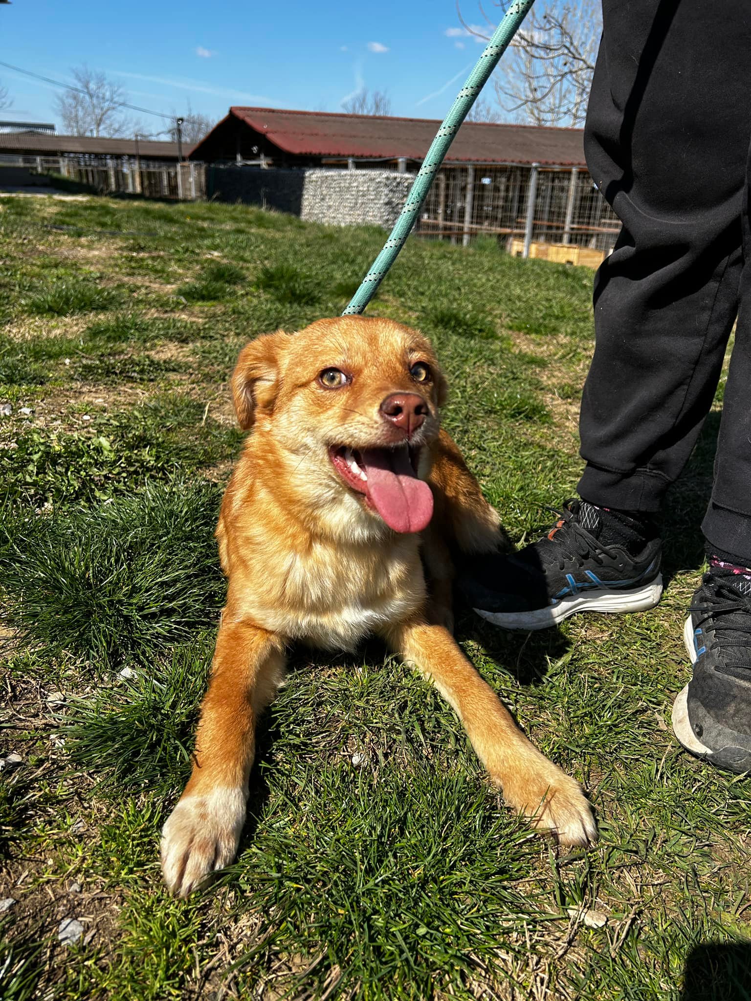 Zira, Bild 4