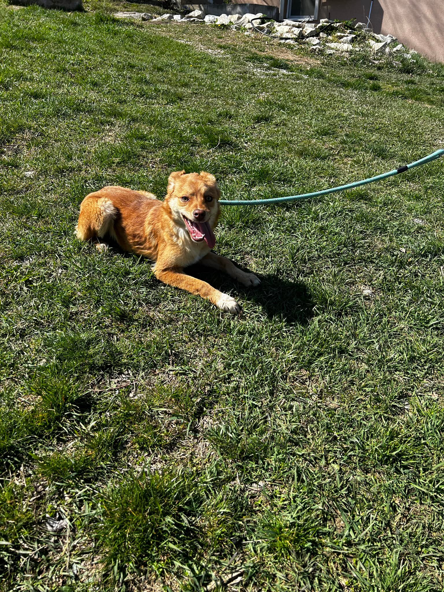 Zira, Bild 5