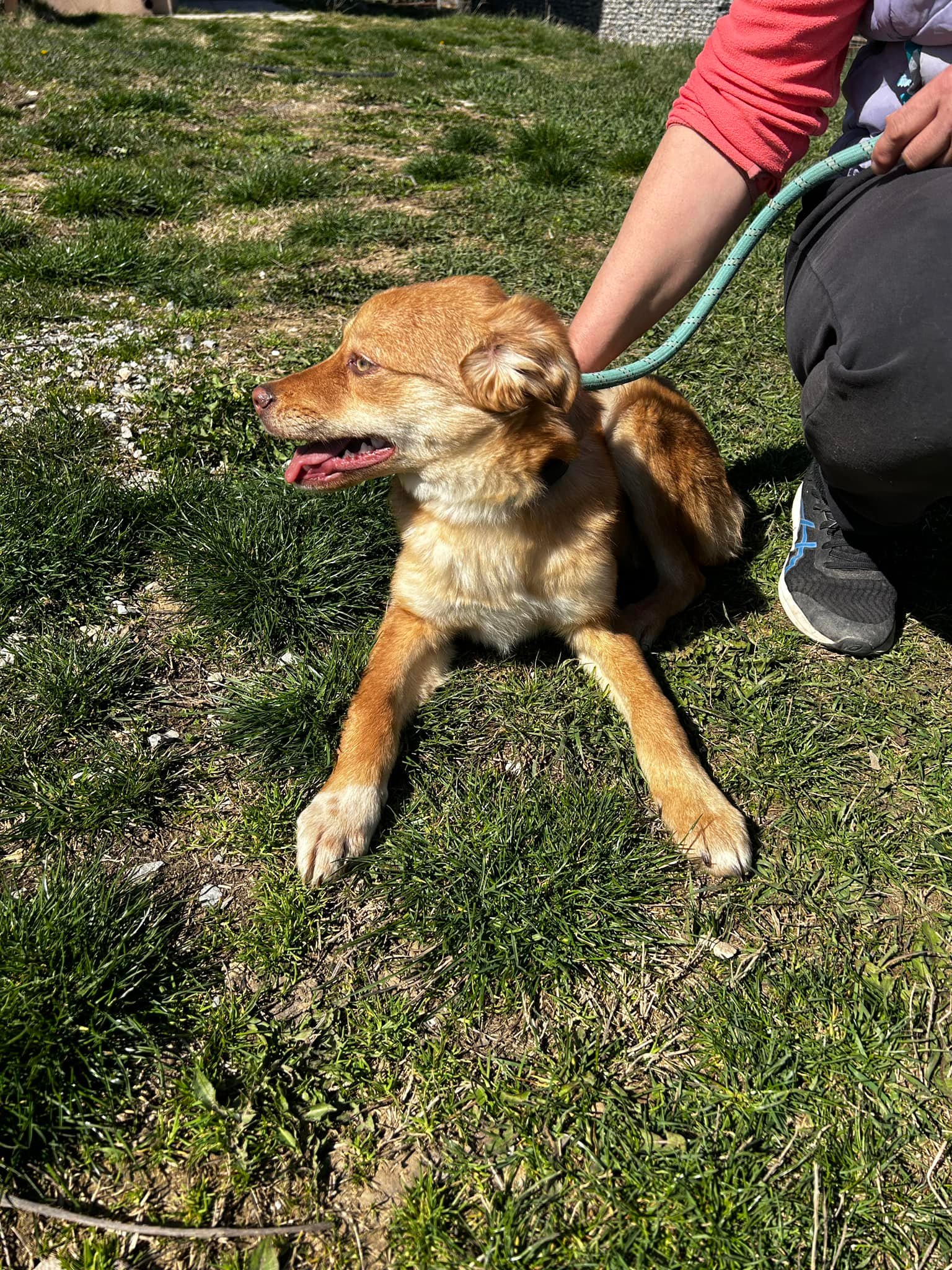 Zira, Bild 7