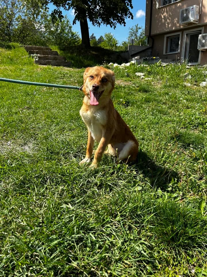 Zira, Bild 10