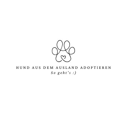 Titelbild "Hund aus dem Ausland adoptieren"