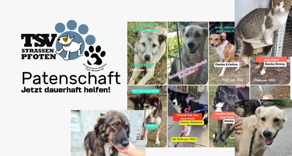 Patenschaft für Tiere in Not