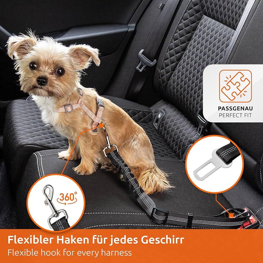 Sichere Transportmittel: Von Hundegurten bis zu Transportboxen