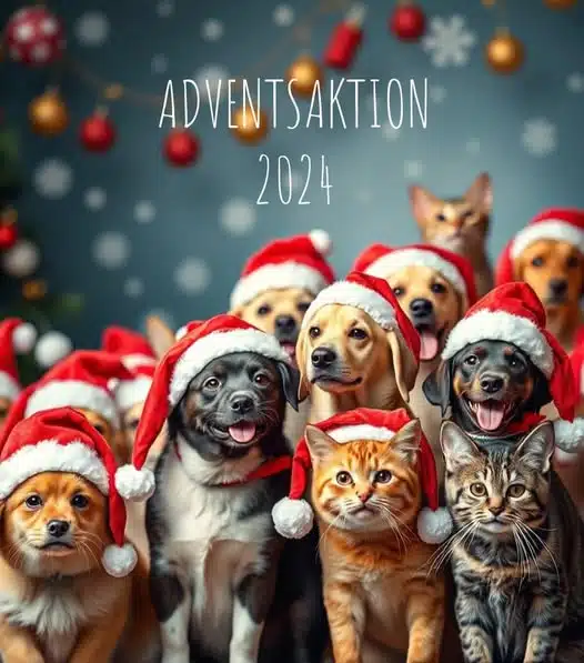 adventsaktion