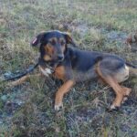 486384973 1064019002422580 4509463747221950598 n