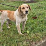 486628282 1063656202458860 8157934268475994294 n