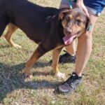 487077106 1064772825680531 8514479945572672984 n