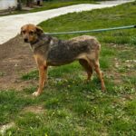 487685361 1066970415460772 2642264765728325552 n